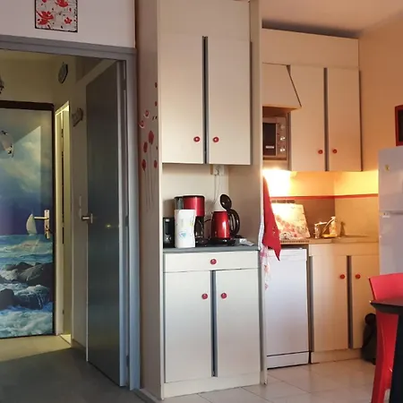 Lejlighed Climatise Au Centre Port Avec Piscine, Parking, Et Proche Animations - Fr-1-801-8 *